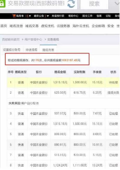 馬男波杰克 流媒體黃金時代的縮影與終結，及域名服務的隱喻